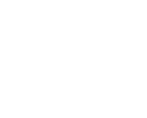 rayun logo